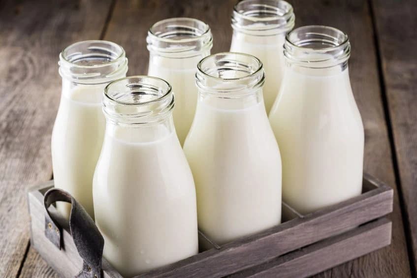 Kenapa Kita Minum Susu Sapi? Bukan Hewan Lain?