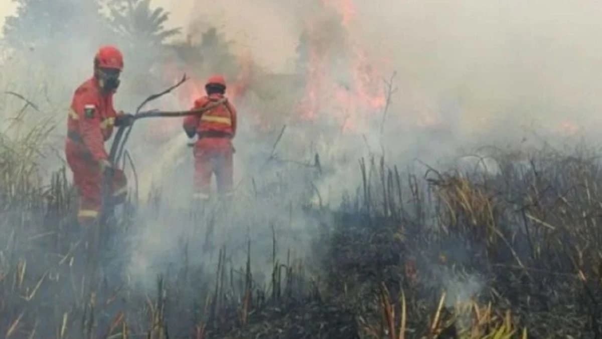 Di Tengah Kabut Asap Kalimantan, Pemerintah Sibuk Melantik Pejabat?
