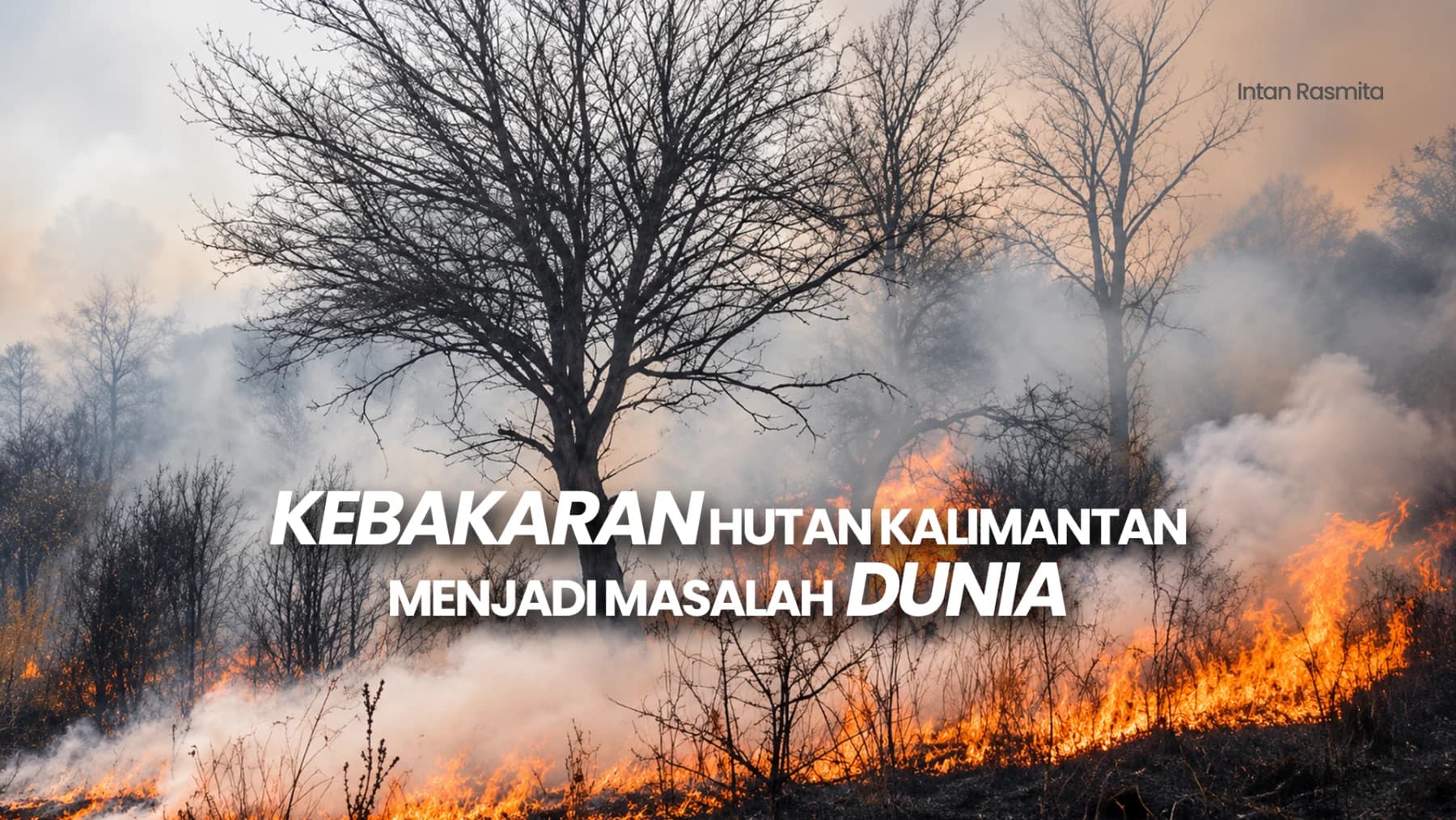 Asap Karhutla Menjadi Masalah Dunia